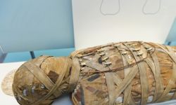 ينهي جدلا علميا واسعا حول المومياء المصرية "الحامل"